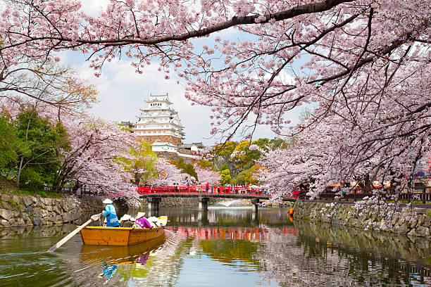 Japan Tour Packages for Families with Indian Meals Japan Tour Packages for Families with Indian Meals